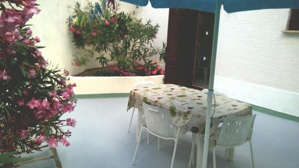 Apartments Tatjana มาร์ตินชิซา ภายนอก รูปภาพ
